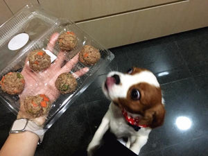 dog meatball singapore